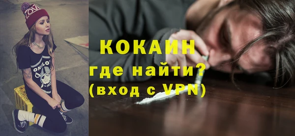 стаф Бородино