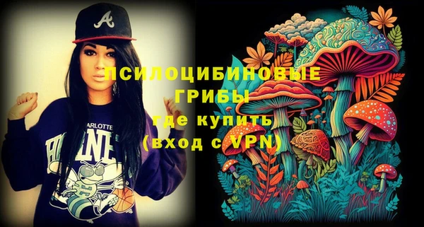 стаф Бородино