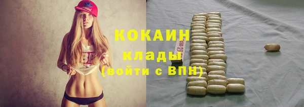 дурь Бронницы