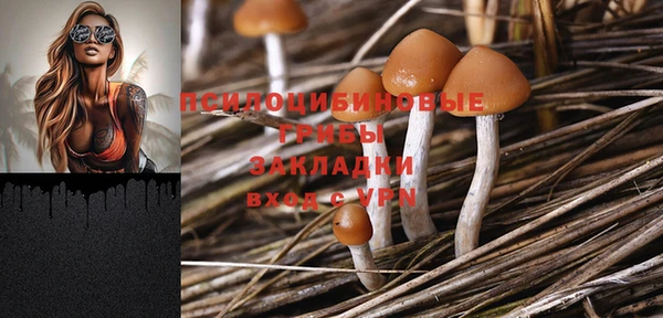 стаф Бородино