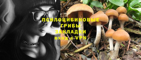 Альфа ПВП Бугульма