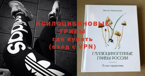 дурь Бронницы