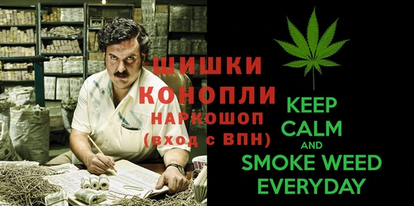 стаф Бородино
