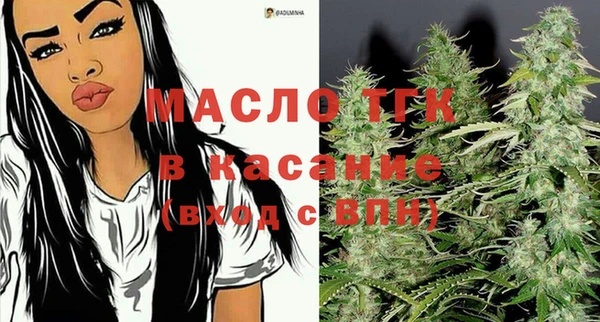 стаф Бородино