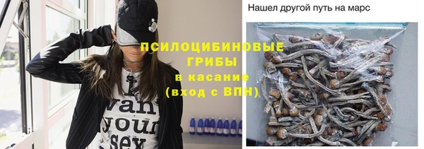 Альфа ПВП Бугульма