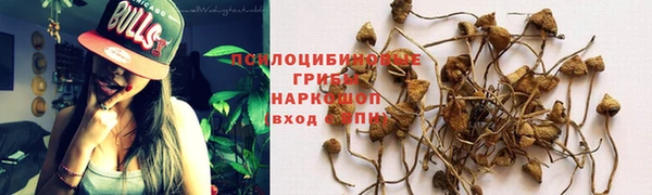 дурь Бронницы